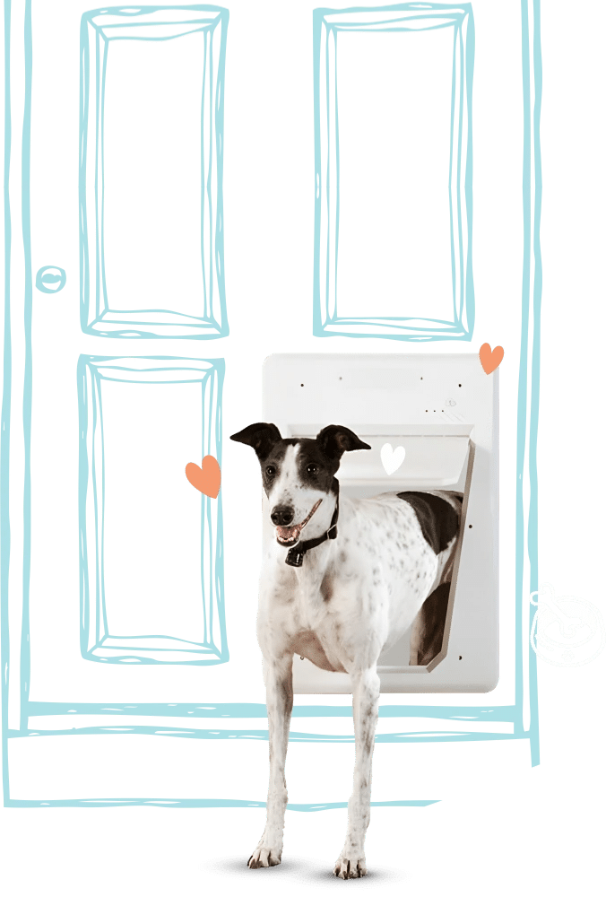 banner-dog-door-updated banner dog door updated